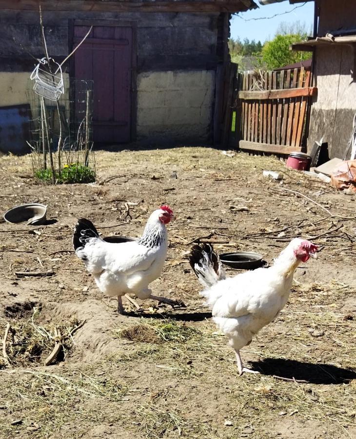 Soltysowka Villa Wólka Dış mekan fotoğraf