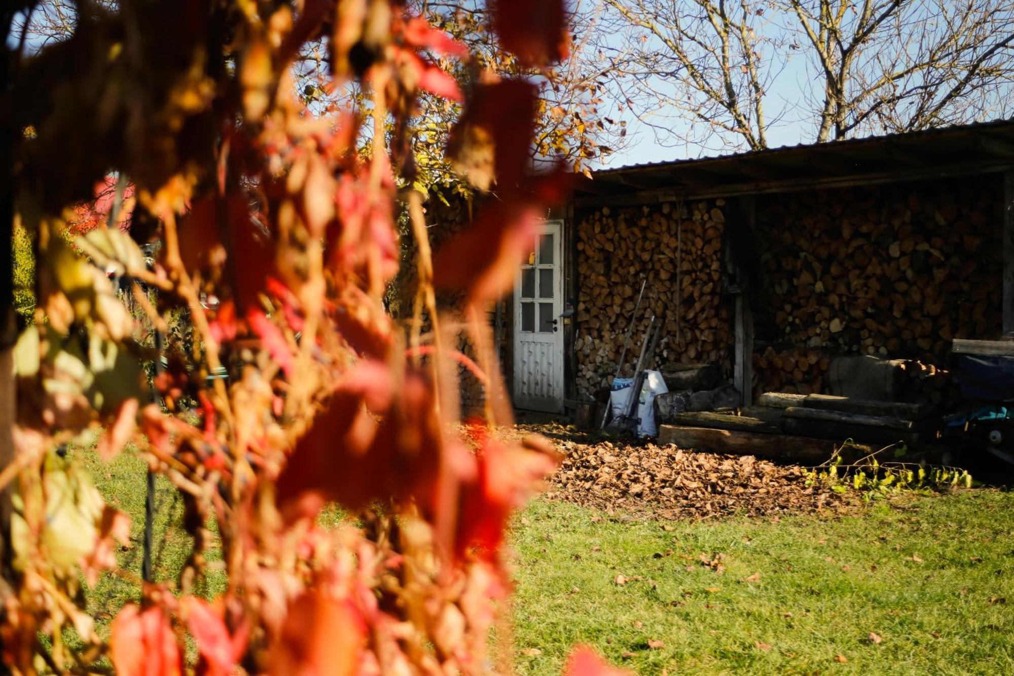Soltysowka Villa Wólka Dış mekan fotoğraf